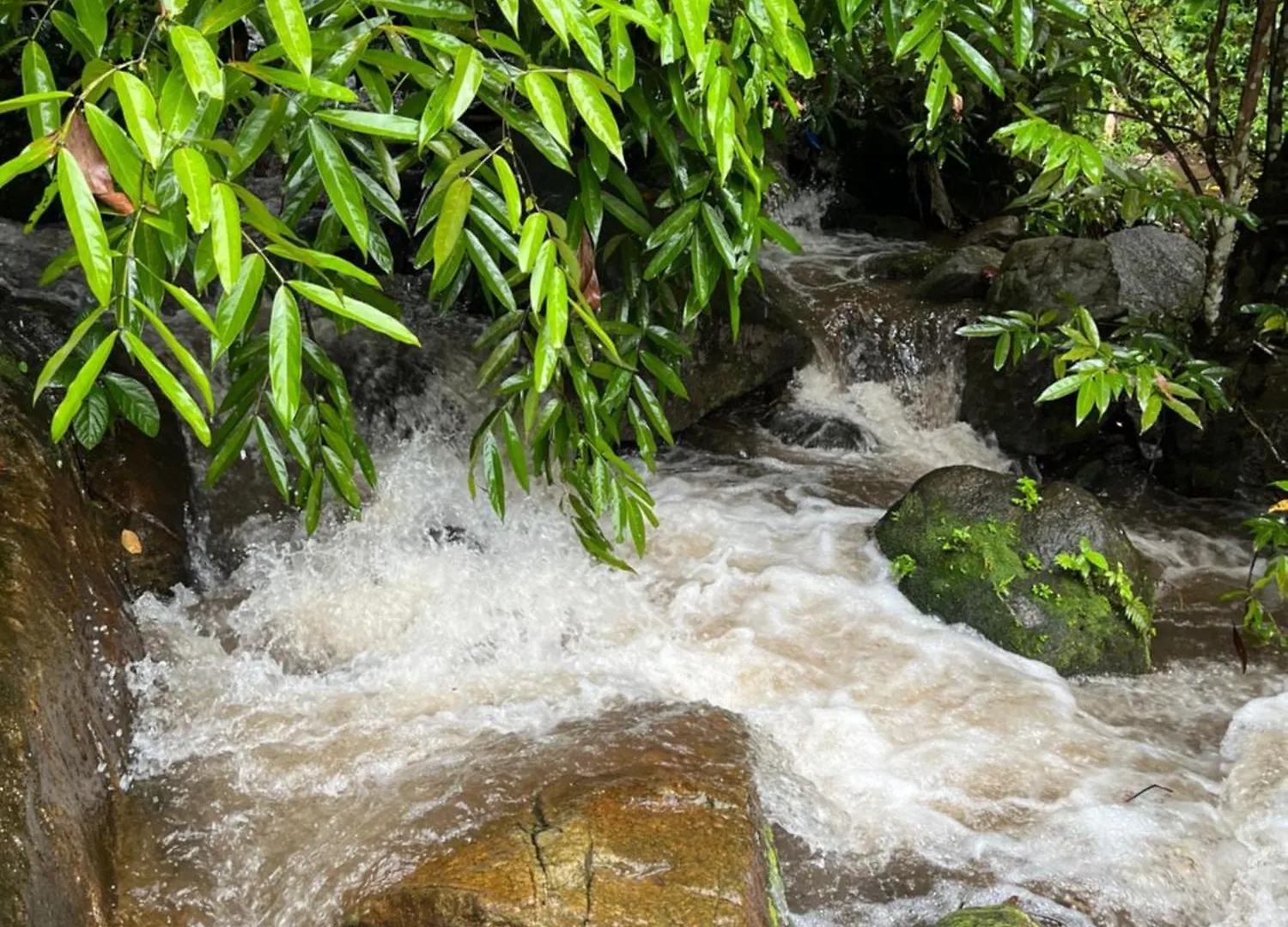 Lodge Manapurath Homestay Mamalakandam India